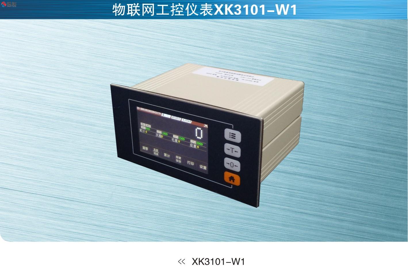 美国SunCells XK3101-W1物联网工控仪表